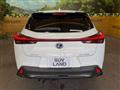 2020 Lexus Other