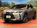 2021 Lexus Other