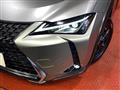 2021 Lexus Other
