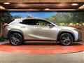 2021 Lexus Other