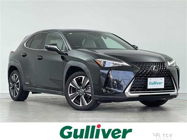2019 Lexus UX