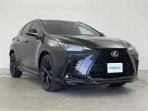 2024 Lexus NX