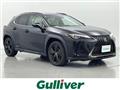 2021 Lexus UX