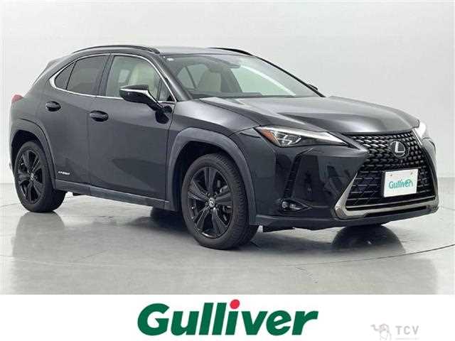 2021 Lexus UX