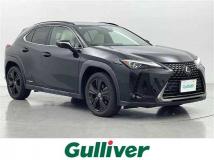 2021 Lexus UX