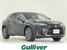 2019 Lexus UX