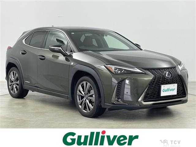 2019 Lexus UX