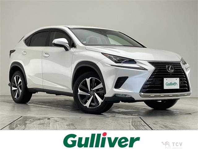 2017 Lexus NX