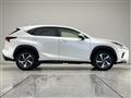 2017 Lexus NX