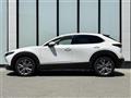 2021 Mazda CX-3