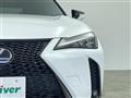 2020 Lexus UX