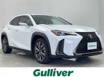 2020 Lexus UX