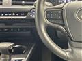 2019 Lexus UX