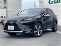 2018 Lexus NX