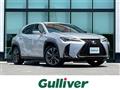 2021 Lexus UX