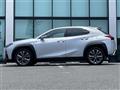2021 Lexus UX