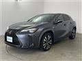 2022 Lexus UX