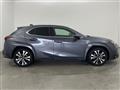 2022 Lexus UX
