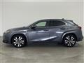 2022 Lexus UX