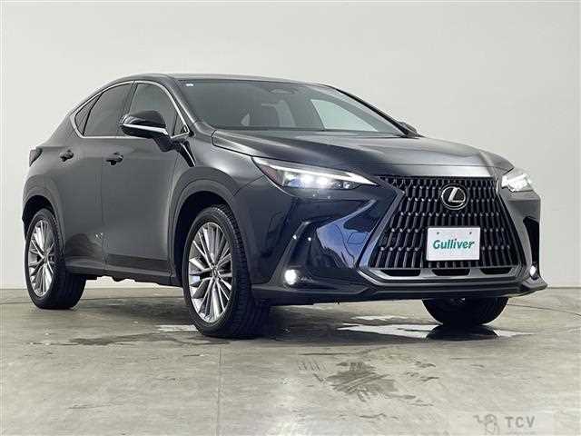 2023 Lexus NX