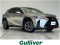 2020 Lexus UX