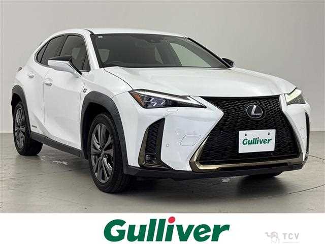 2019 Lexus UX