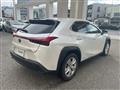 2020 Lexus UX