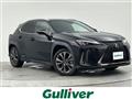 2019 Lexus UX