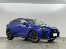 2021 Lexus NX