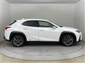 2022 Lexus UX