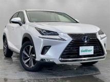 2018 Lexus NX