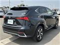 2021 Lexus NX