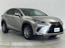 2019 Lexus NX