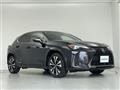 2022 Lexus UX