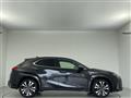 2022 Lexus UX