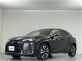 2022 Lexus UX
