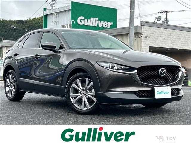 2021 Mazda CX-3