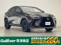 2025 Lexus NX