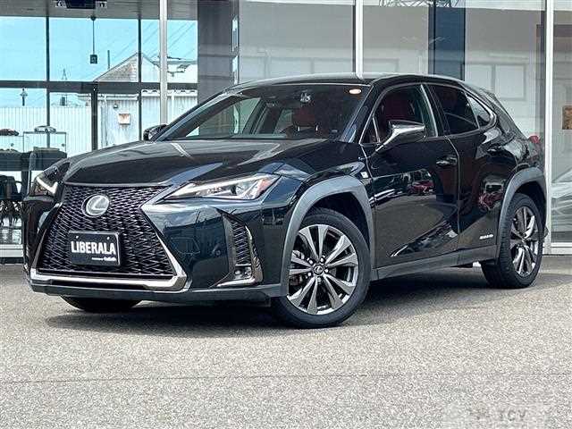 2019 Lexus UX
