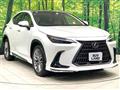 2022 Lexus NX