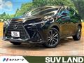 2022 Lexus NX
