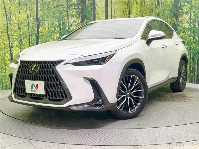 2023 Lexus NX