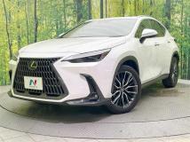2023 Lexus NX
