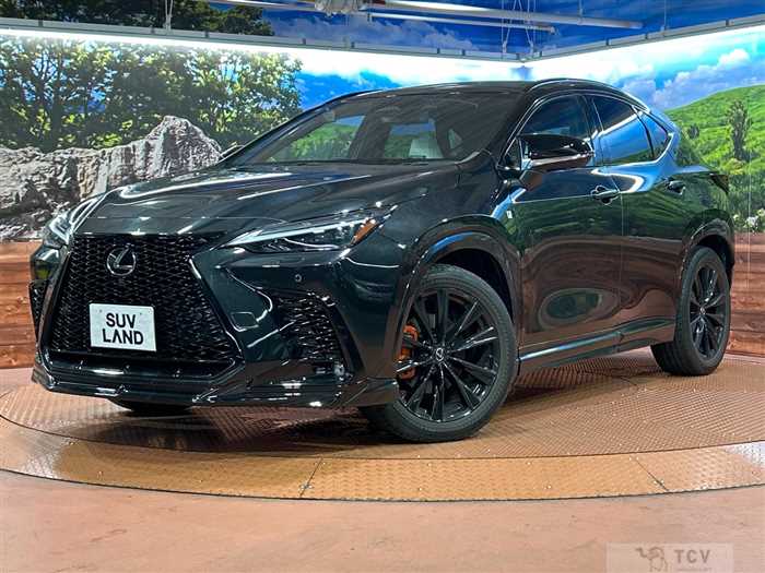 2023 Lexus NX