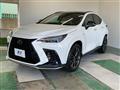 2025 Lexus NX
