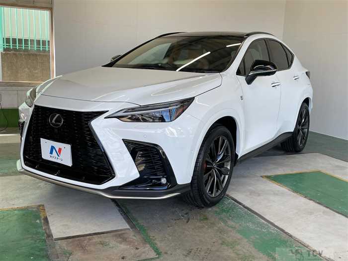 2025 Lexus NX