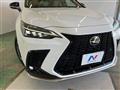 2025 Lexus NX