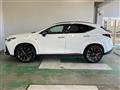 2025 Lexus NX