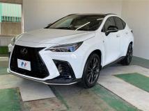 2025 Lexus NX