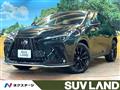 2025 Lexus NX